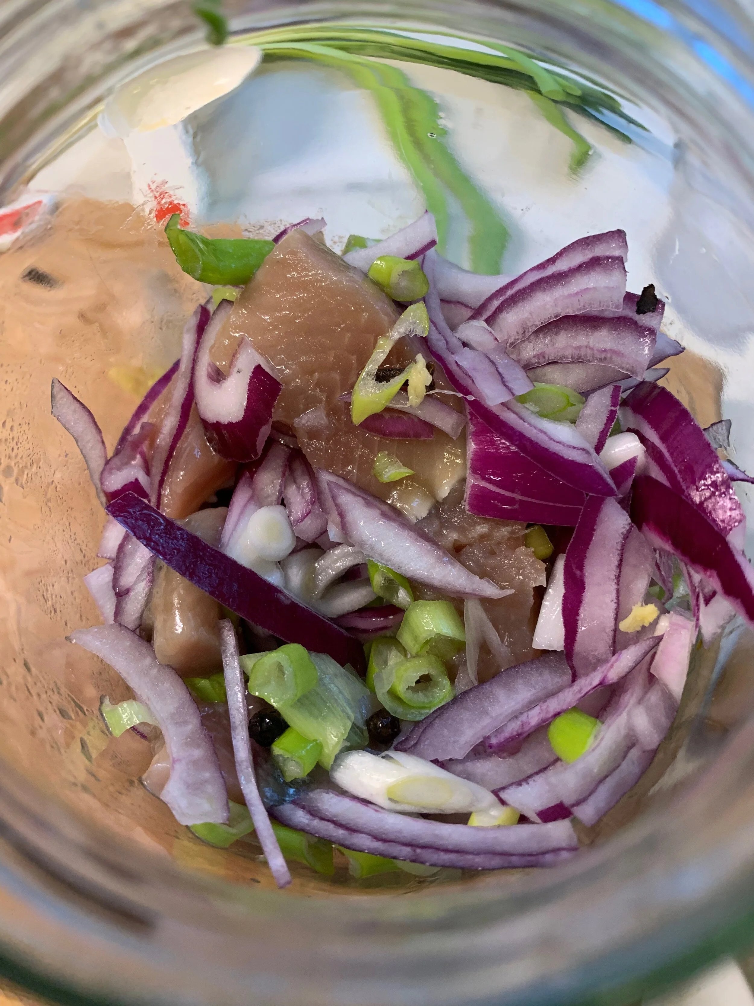 spekesild m kombucha7.JPG