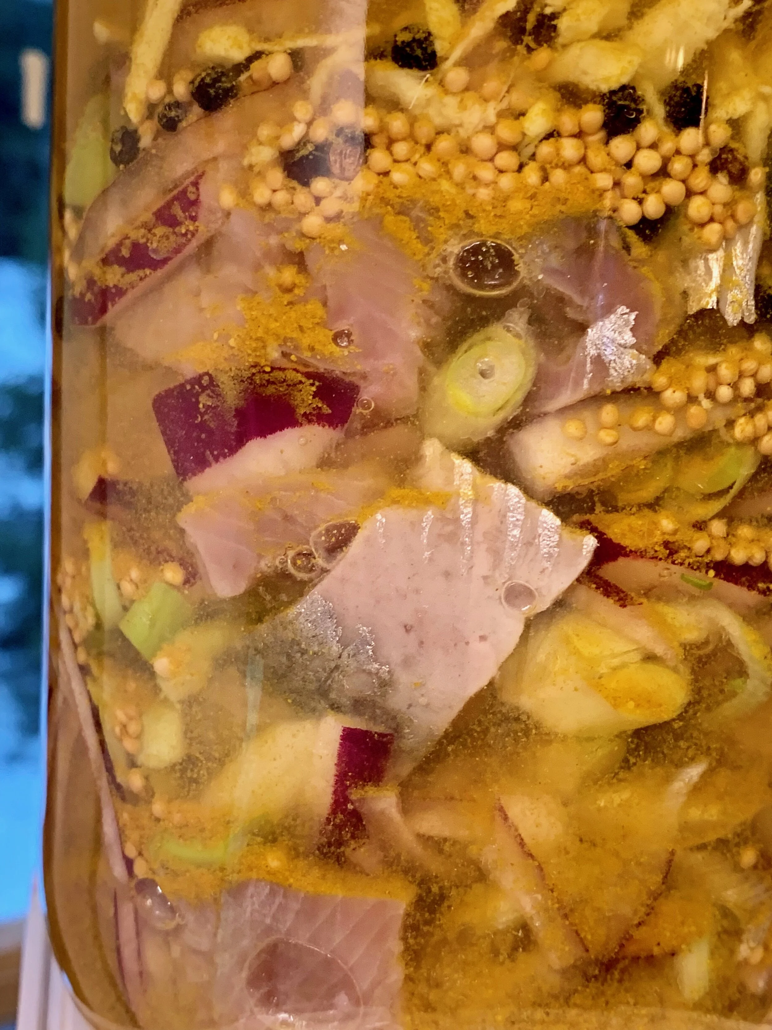 spekesild m kombucha10.JPG