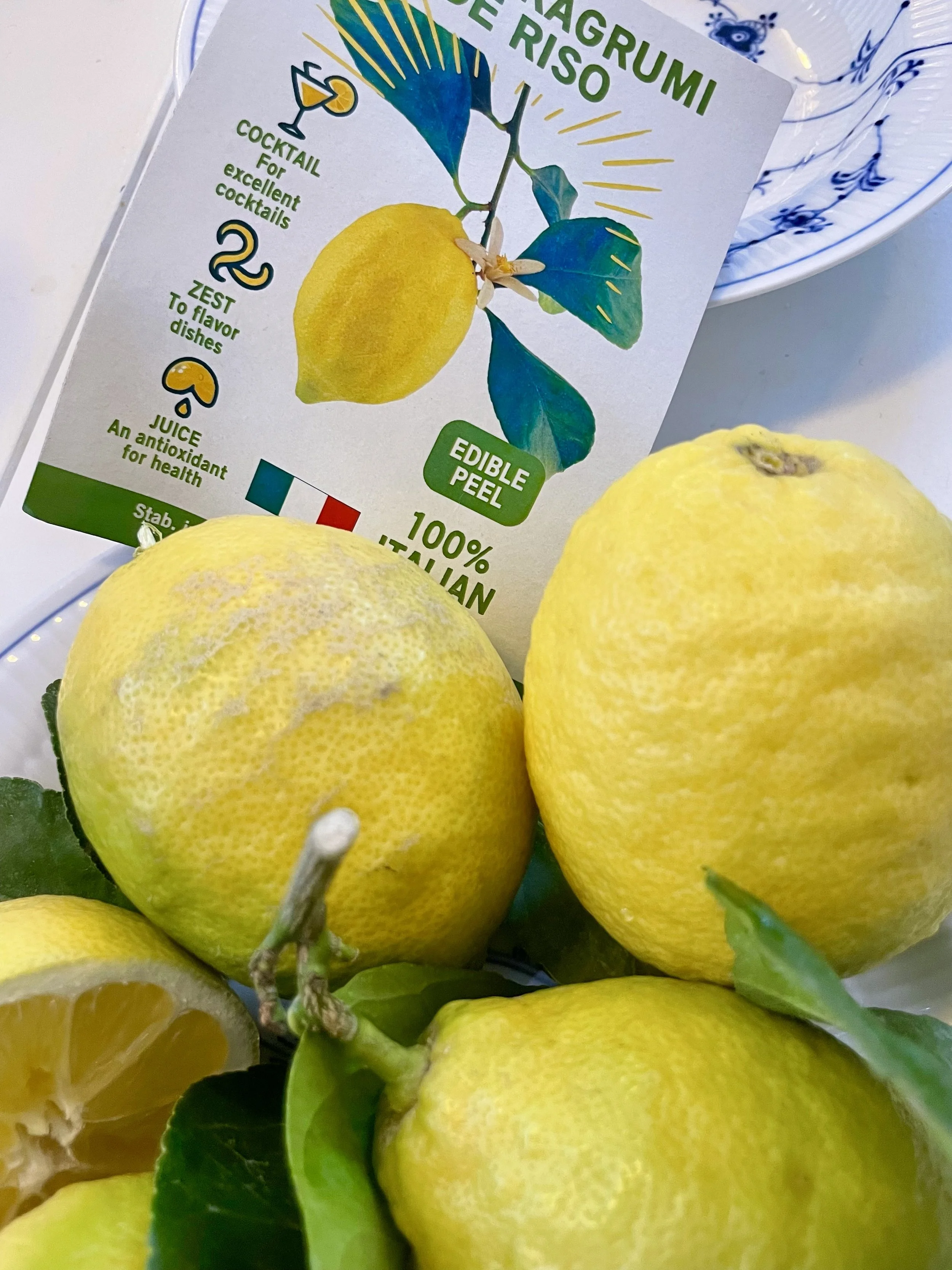 Fermenterte sitronskall - løfter helse, humør og smak