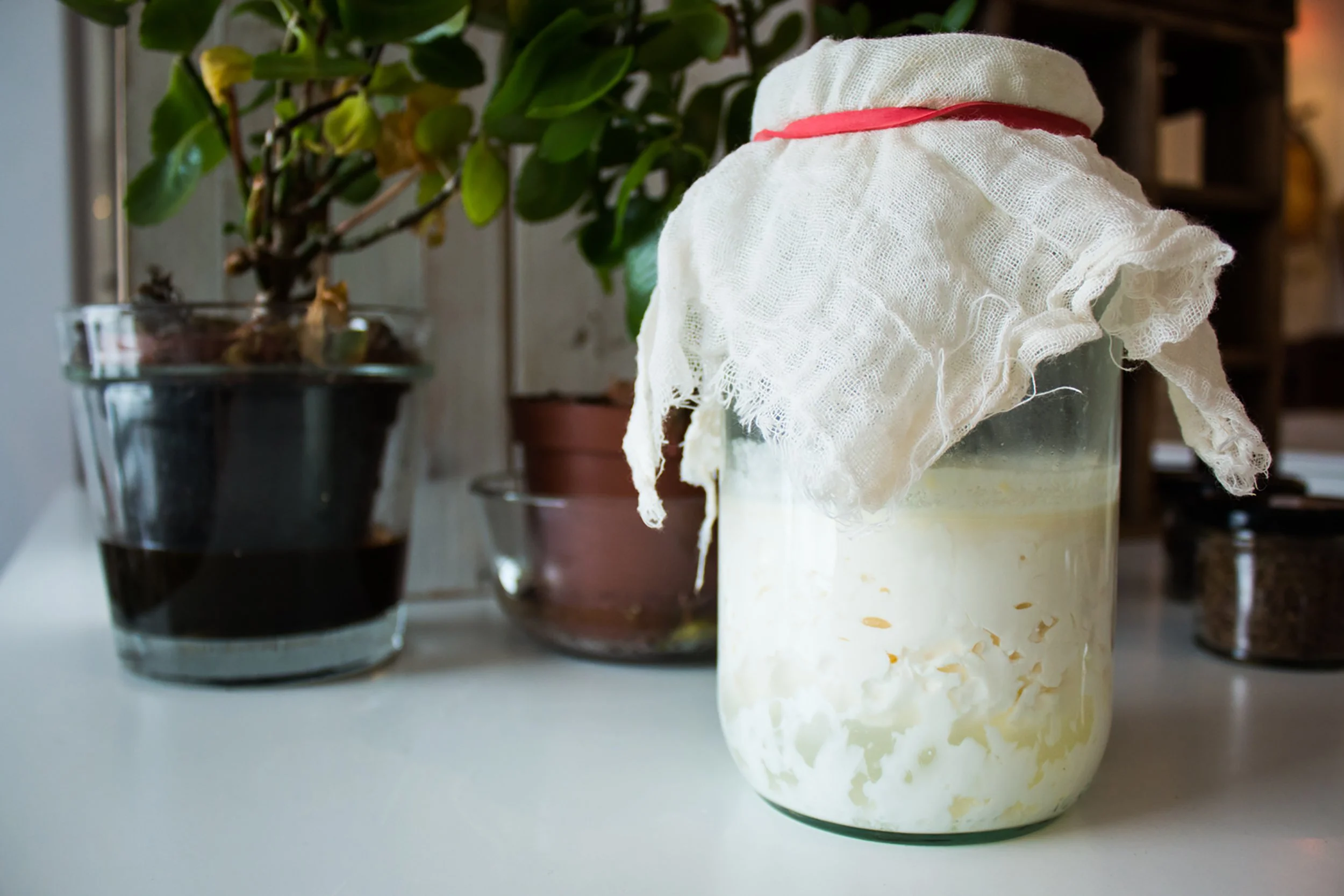 Bentes Fermentering