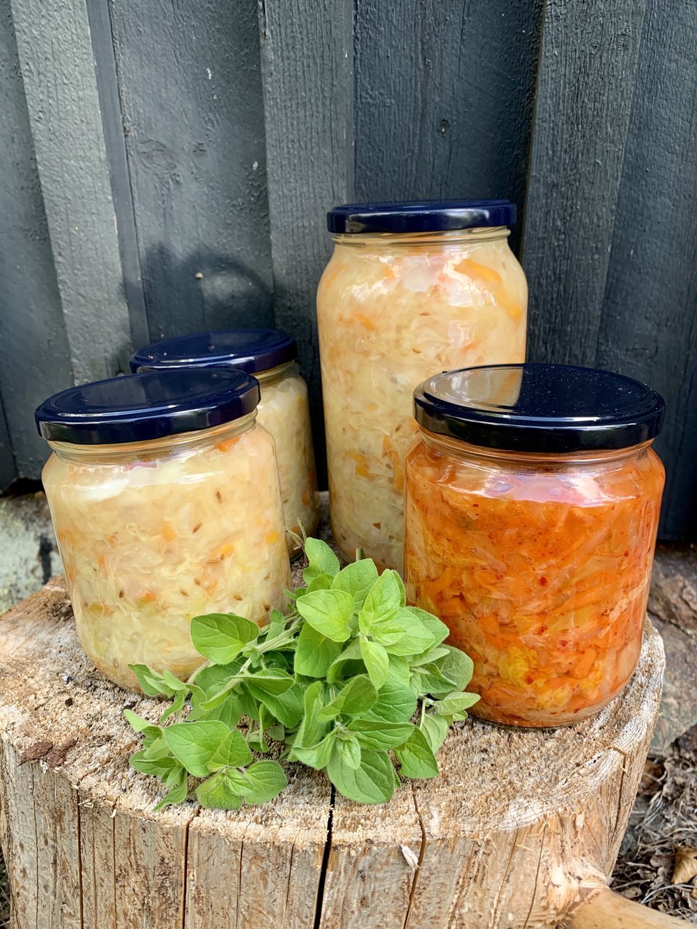 Surkål+og+kimchi+6.9.20.jpg