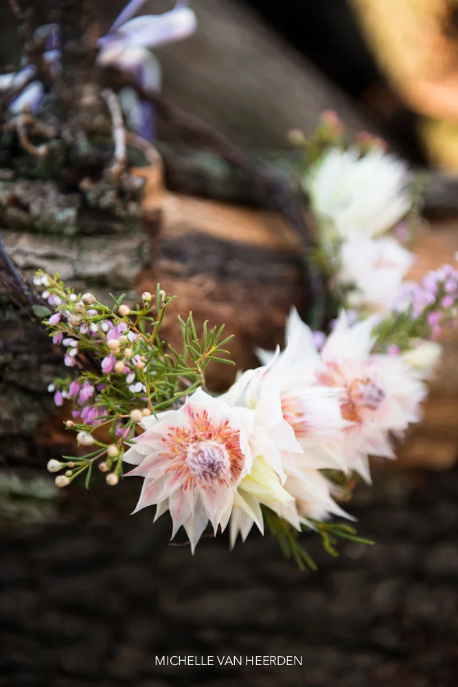 04 Michelle van Heerden photography.jpg