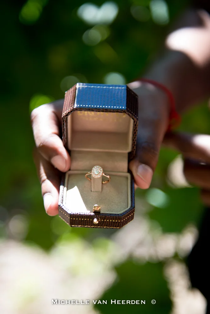 02 Proposal shoot.jpg