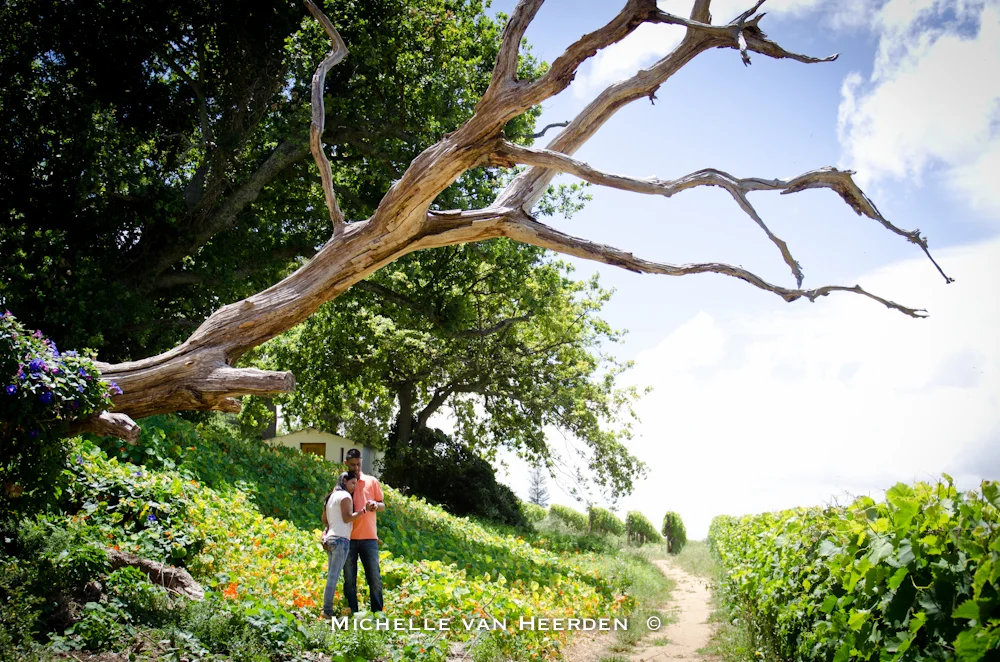 16 Proposing couple shoot.jpg