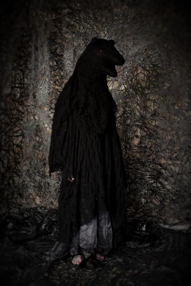 Nightbear by Lisa Zagone