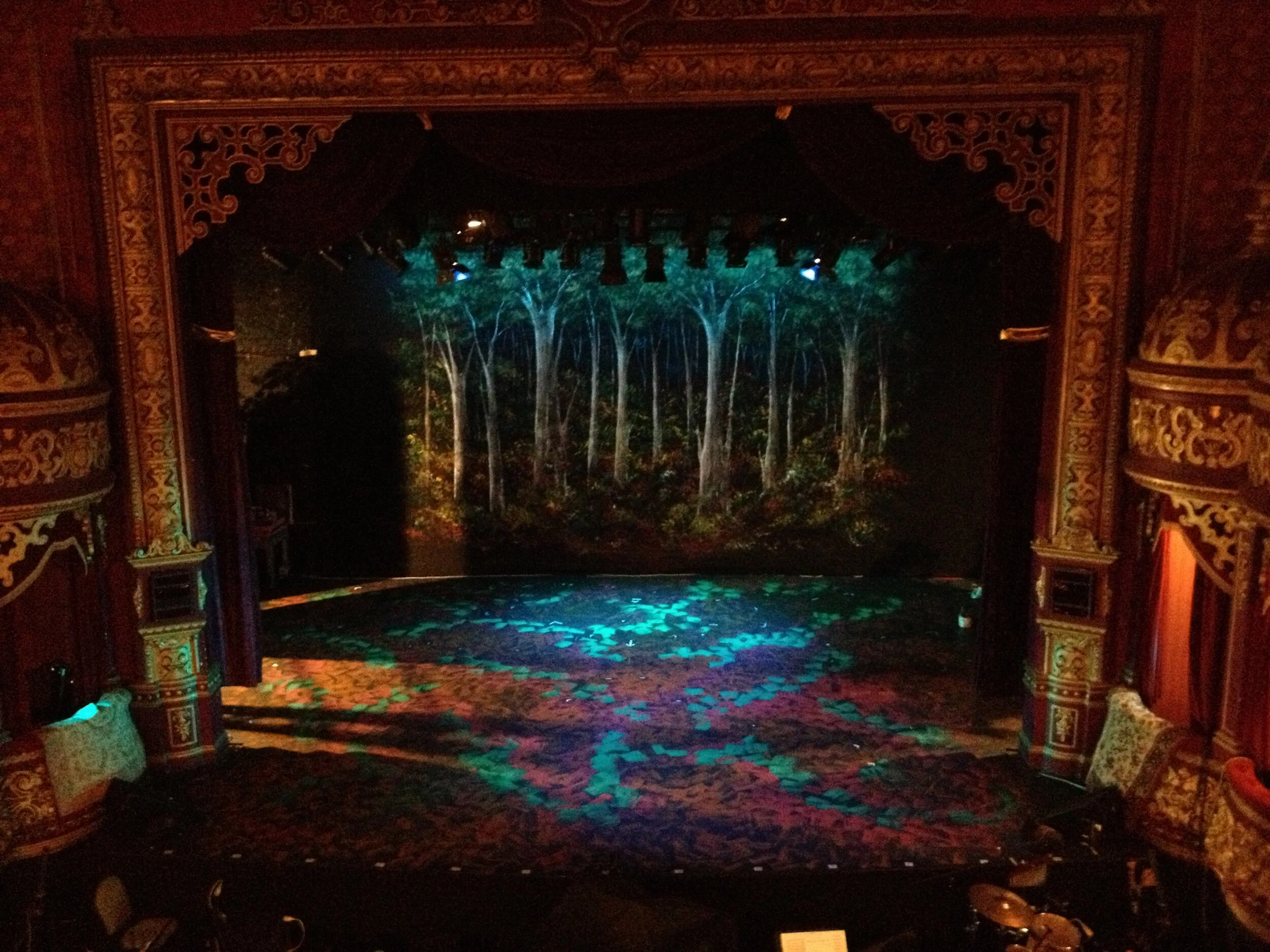 Little Red Ridinghood forest set