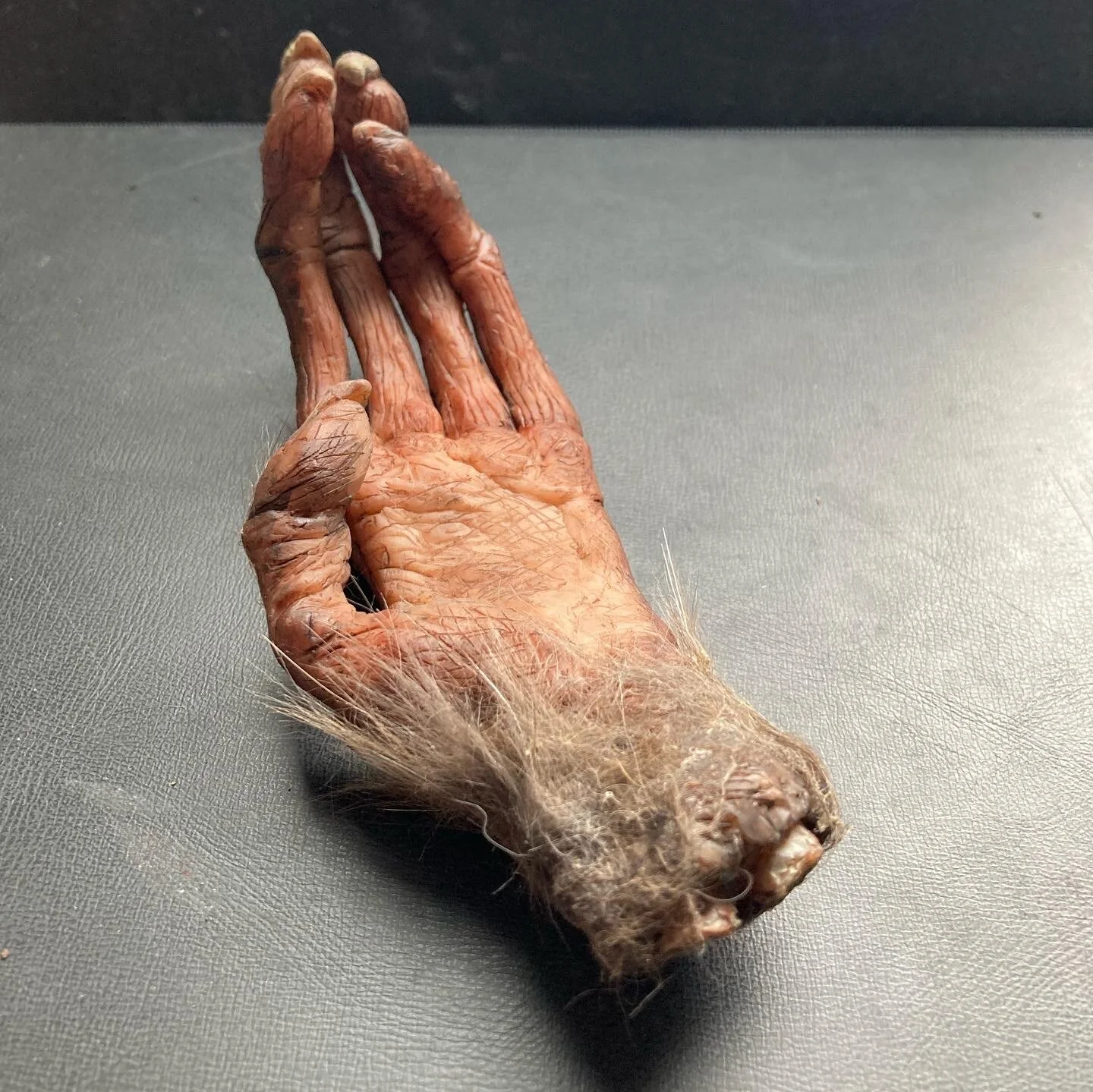 Monkey's Paw prop, movable fingers, puppet, film prop