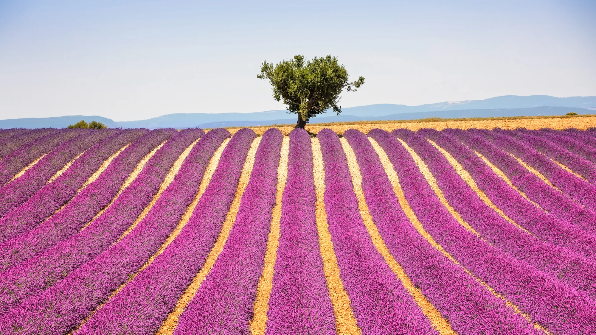 BONJOUR! VOULEZ-VOUS PARLER FRANÇAIS? Learn about our Approach