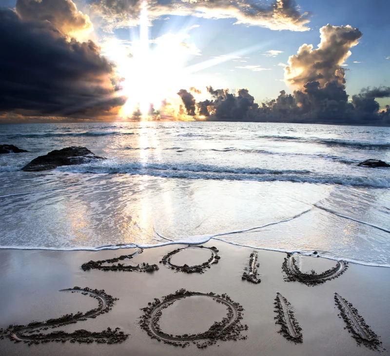 to-expect-in-2011.jpg