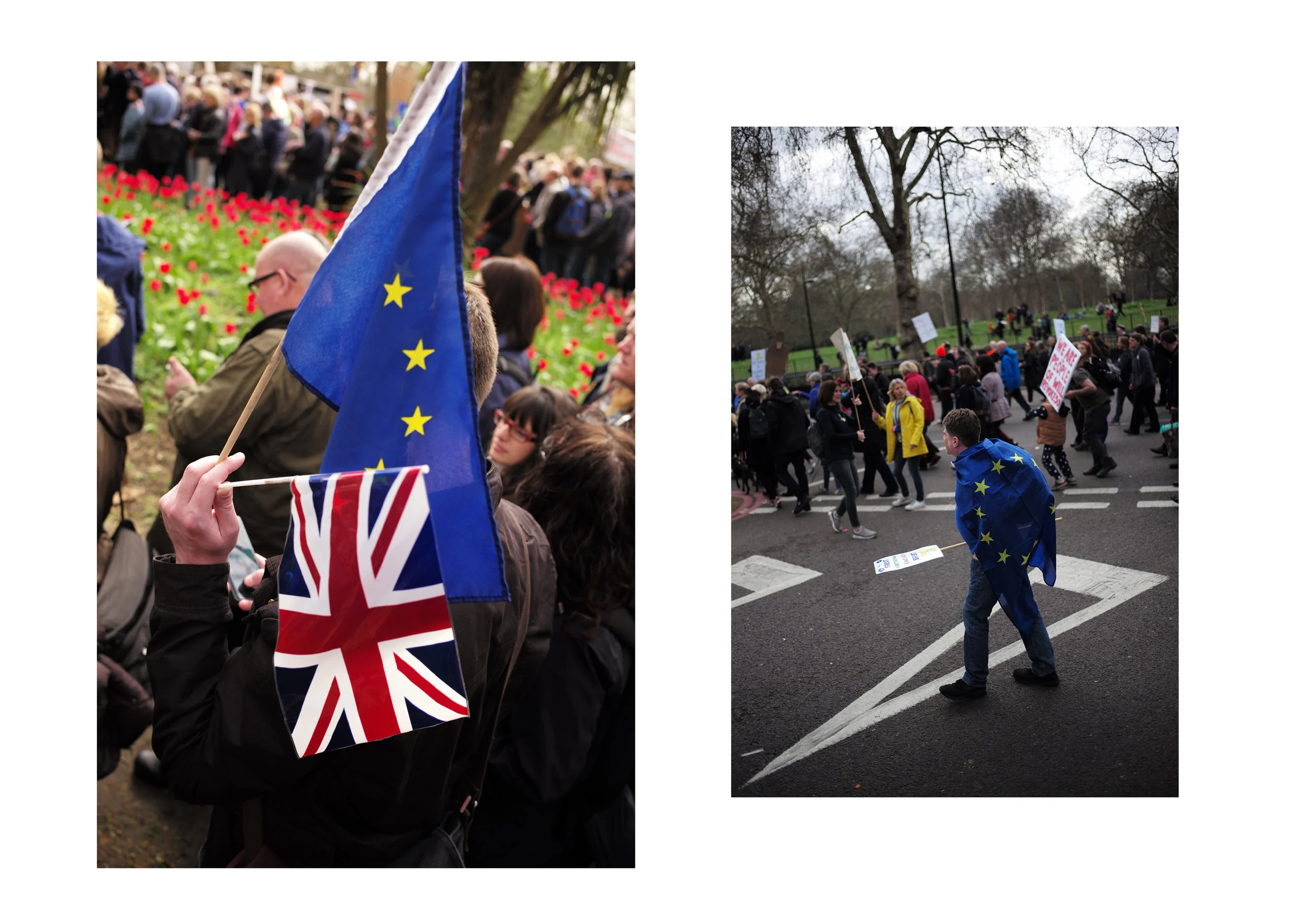 The Peoples March 9.jpg
