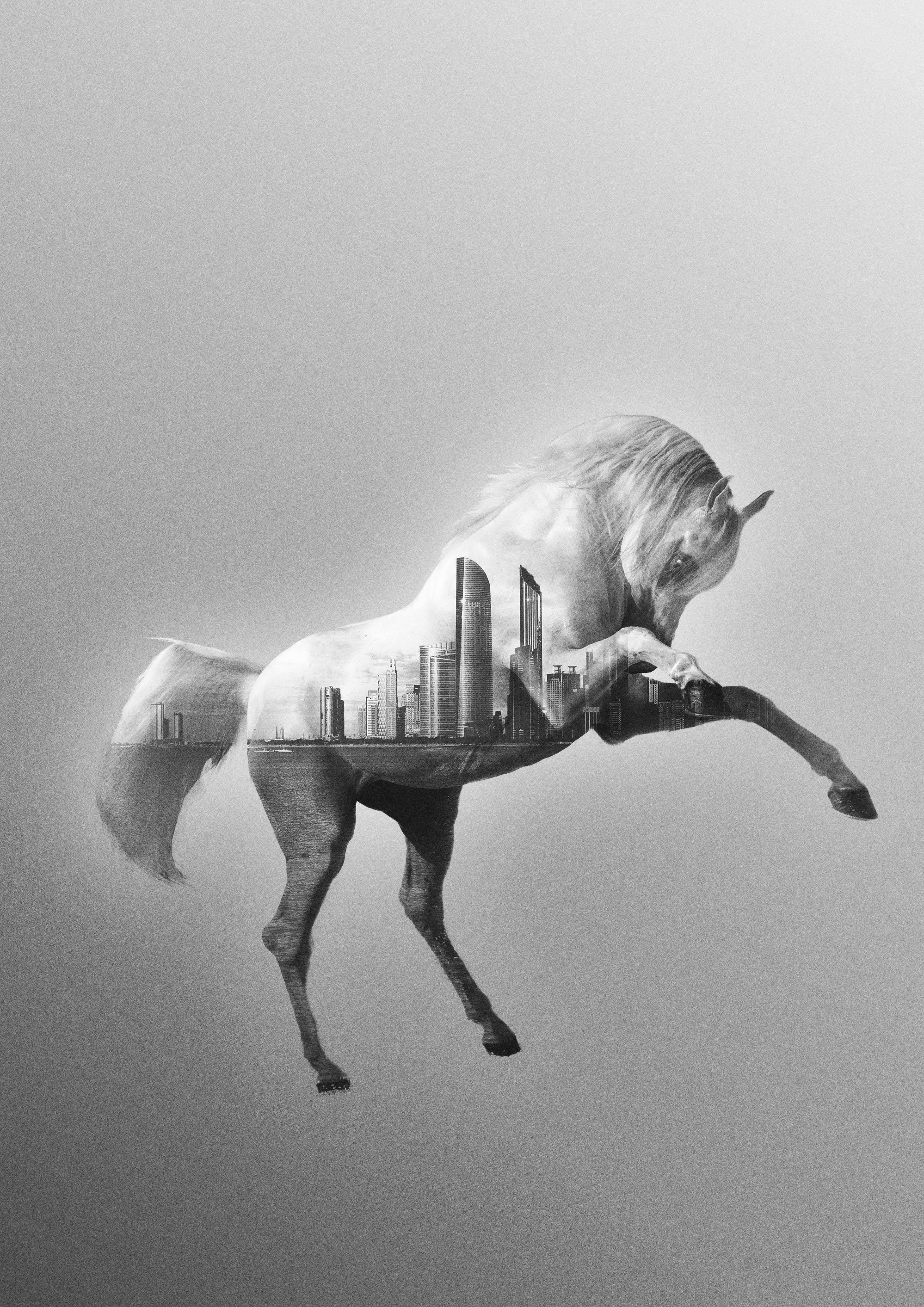 ABUDHABI.jpg
