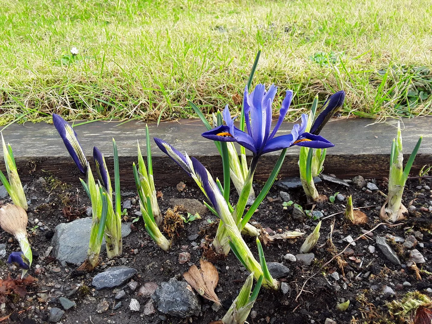 Signs of spring?