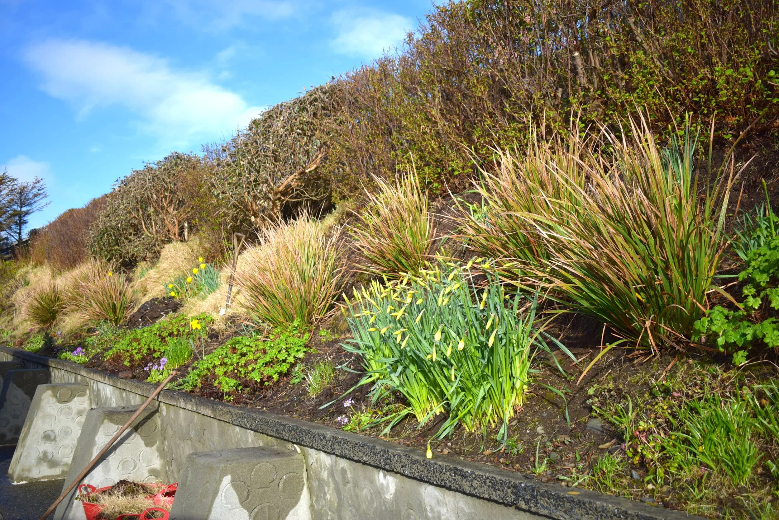 Springtime at Easterhoull