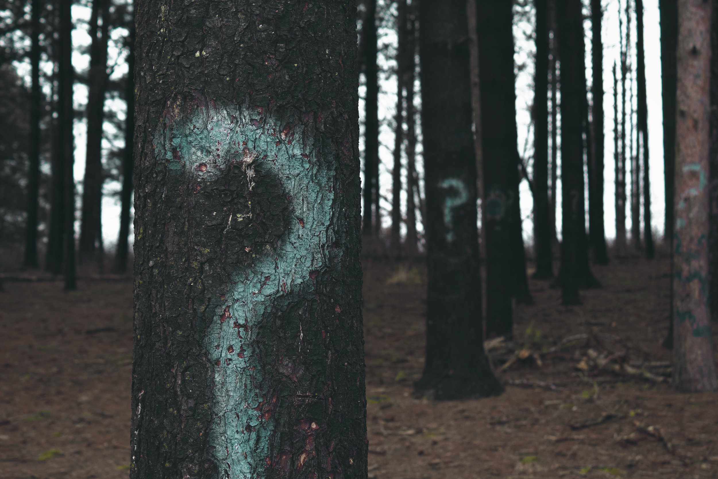 Long-term impact of open youth work: Research design workshop 2