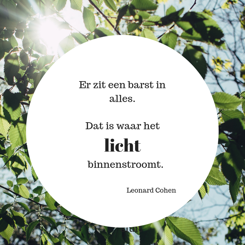 licht krak.png