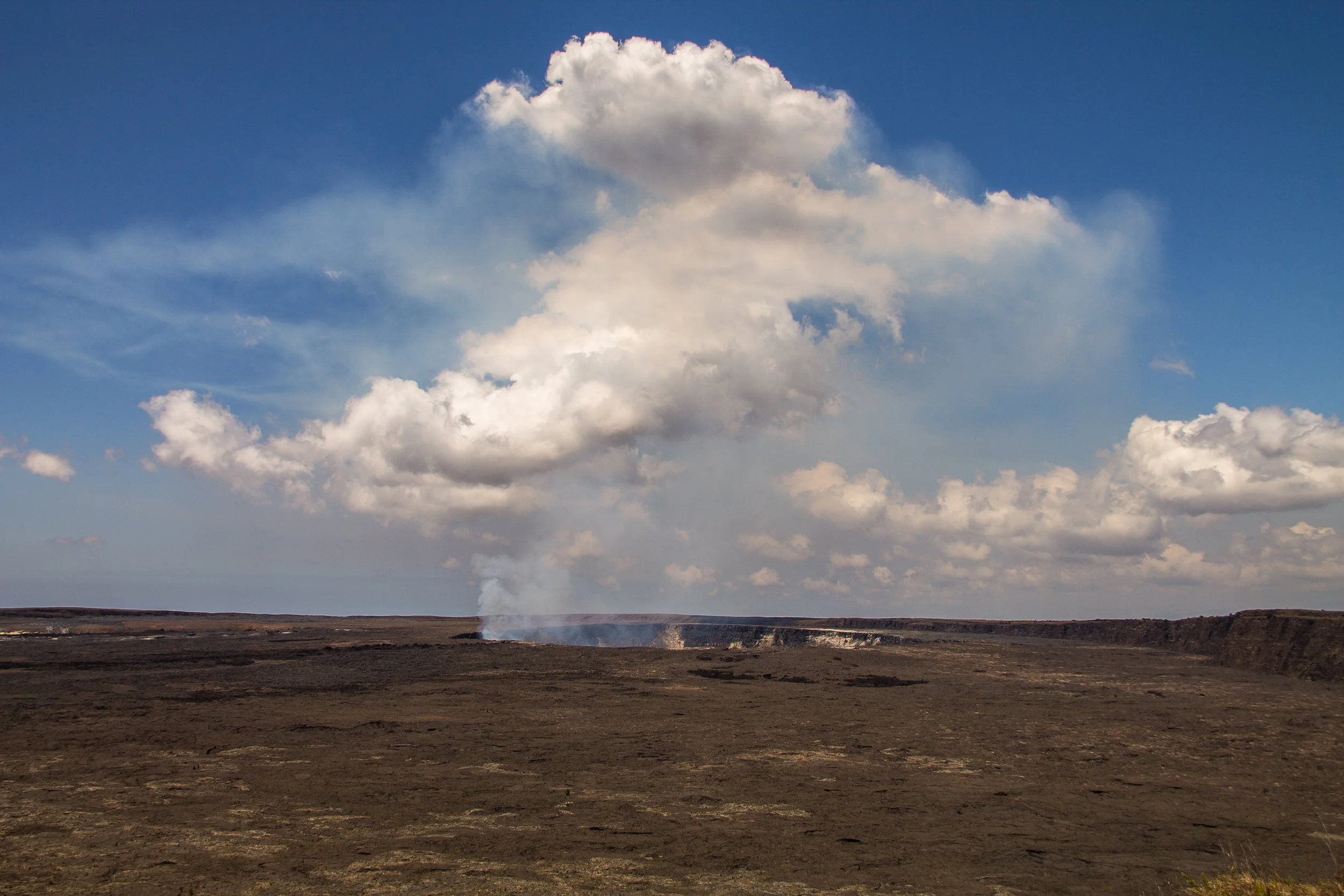Will send me someone to Lava!