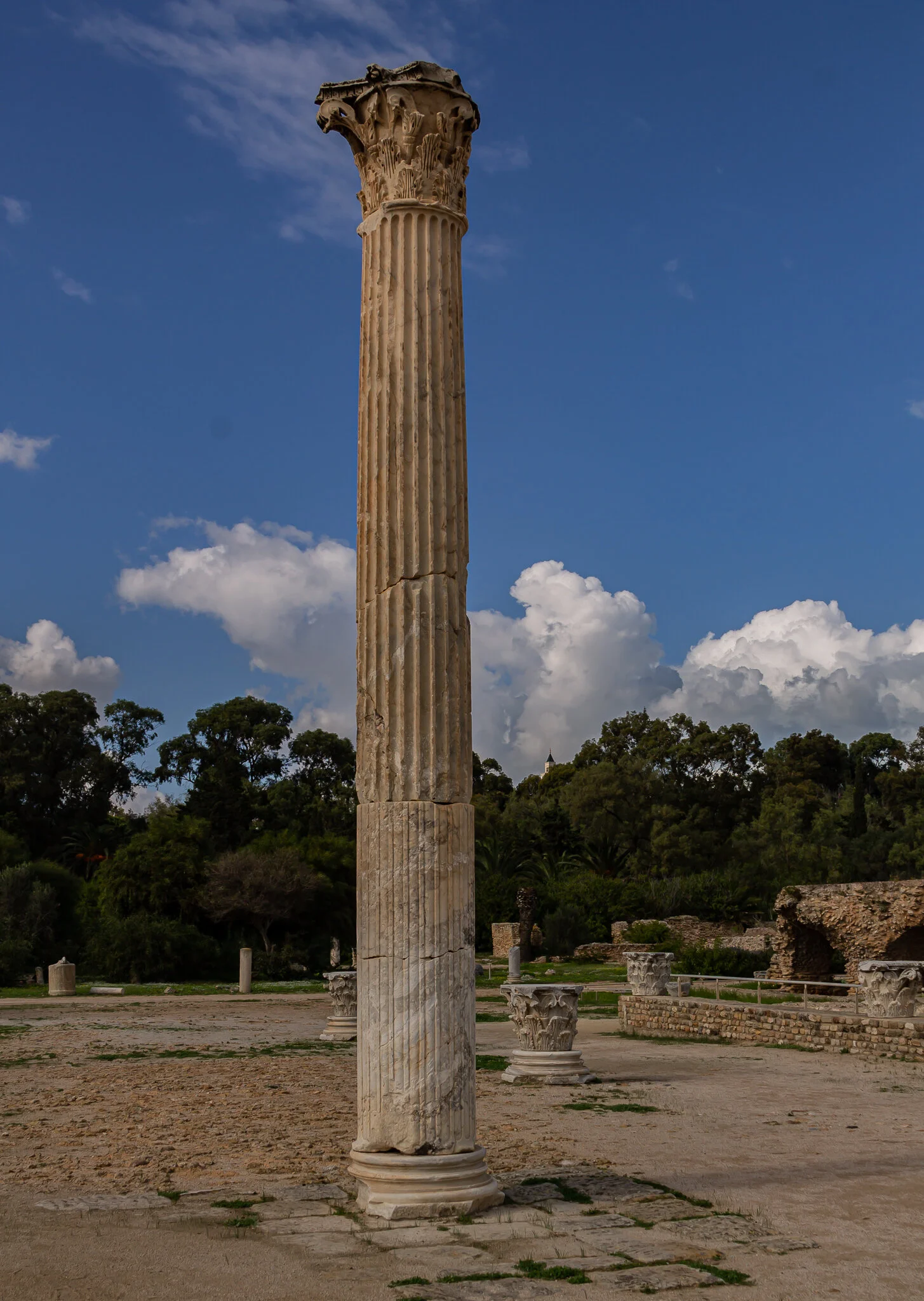 2019 Tunisia (24 of 30).jpg