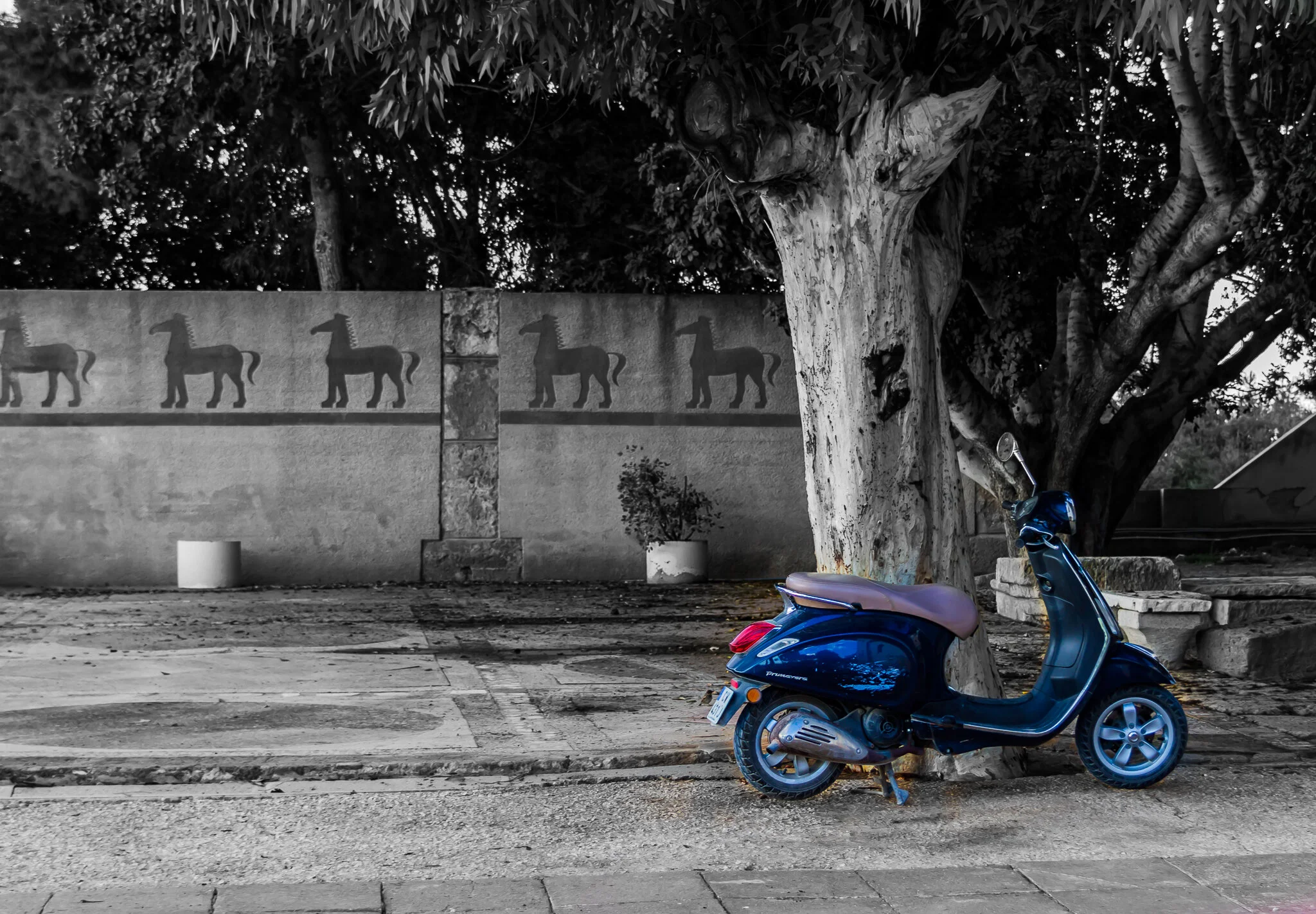 2019 Tunisia (26 of 30).jpg