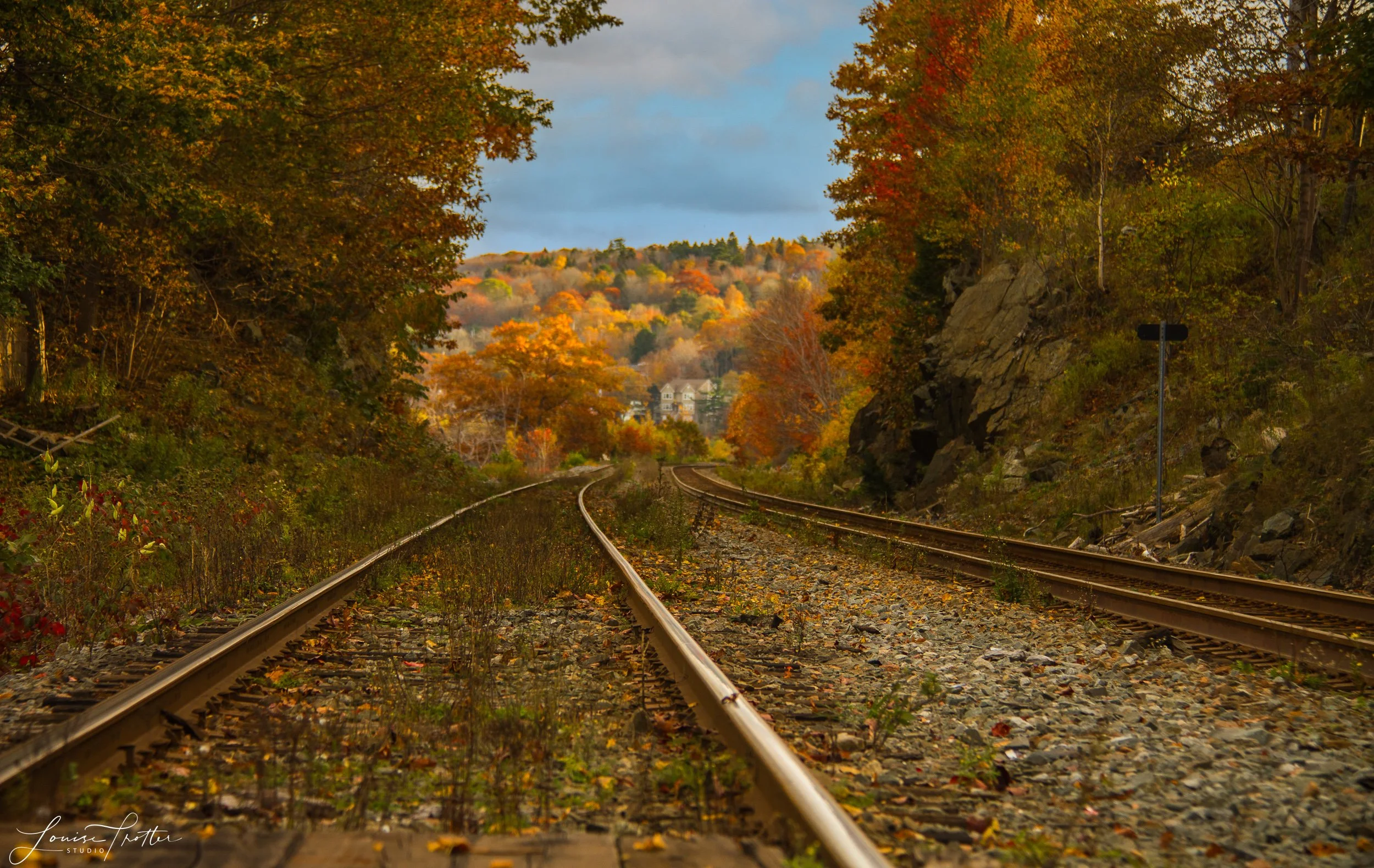 IMG_6575-Edit.jpg