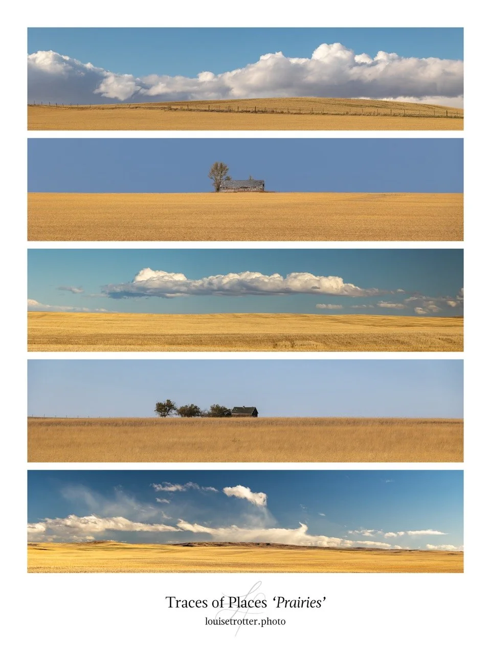 Canadian Prairies Large.jpeg