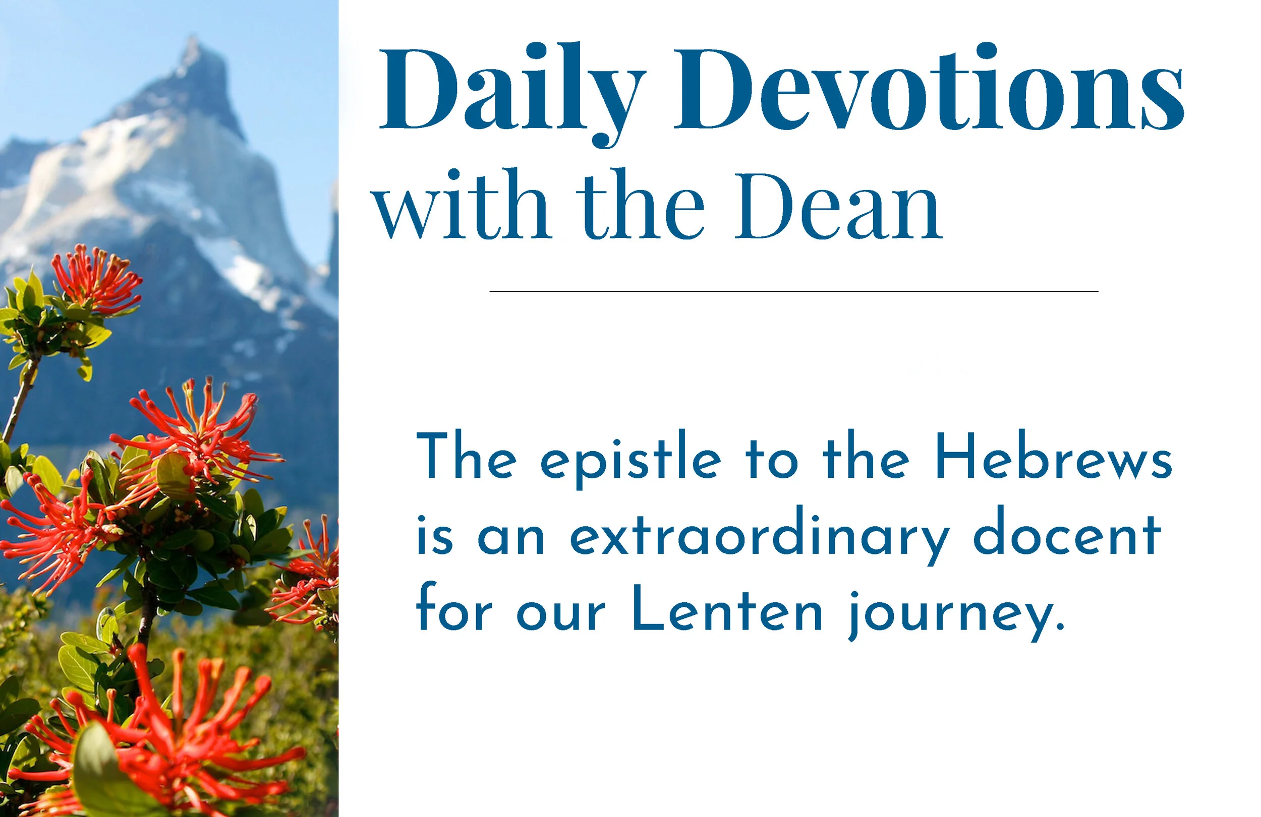 An Extraordinary  Docent for Lent - Daily Devotions with the Dean 