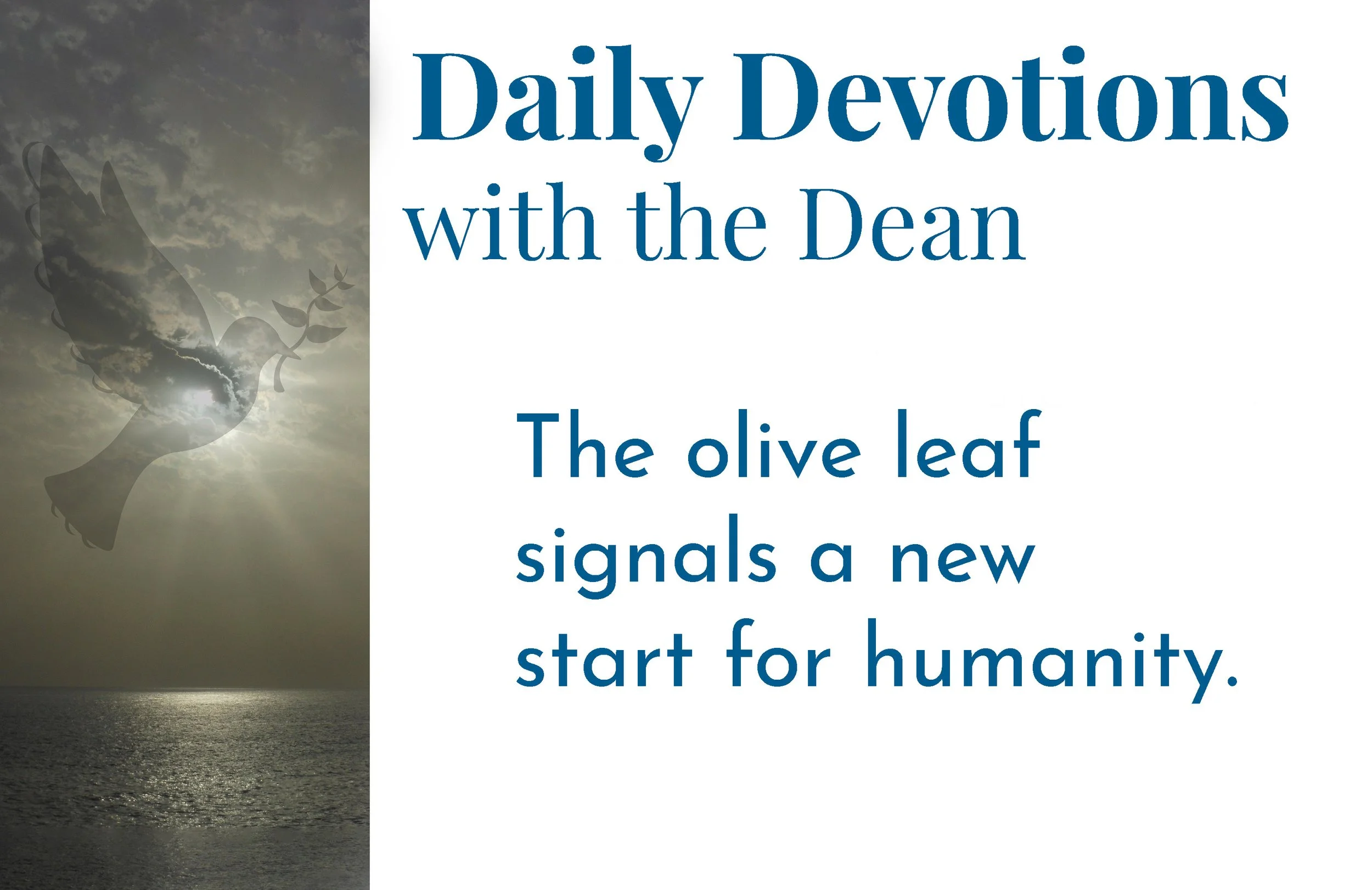 The Promise of New Creation - Daily Devotions with the Dean 