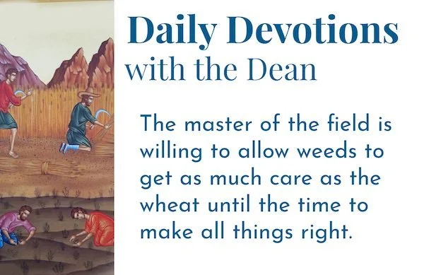 Wheat and Tares - Daily Devotions with the Dean
