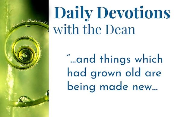 All Things New - Daily Devotions with the Dean