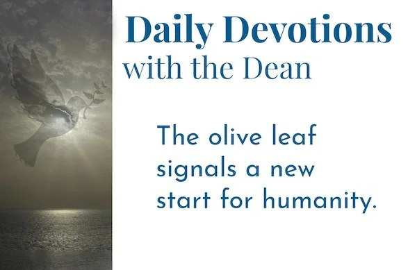 The Promise of New Creation - Daily Devotions with the Dean