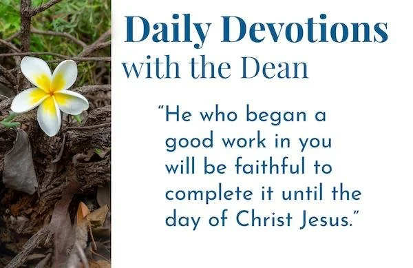 God Continues to Work His Plan - Daily Devotions with the Dean