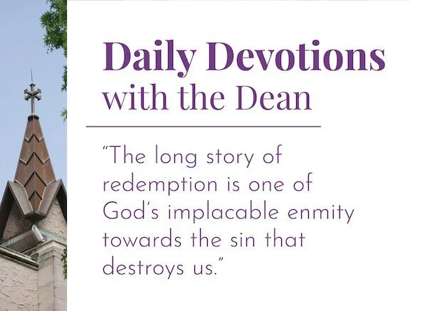 The Long Story of Redemption - Daily Devotions with the Dean