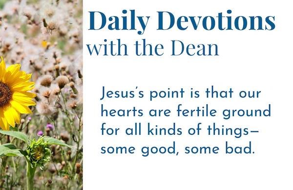 Our Hearts Are Fertile Ground - Daily Devotions with the Dean