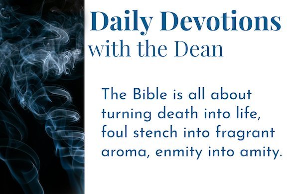 Grace Intervenes - Daily Devotions with the Dean