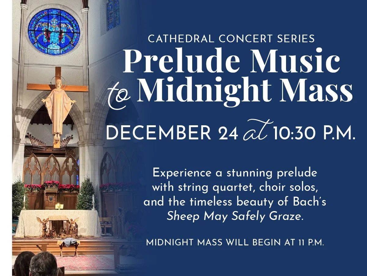 CCSL_ChristmasAds-05.jpg