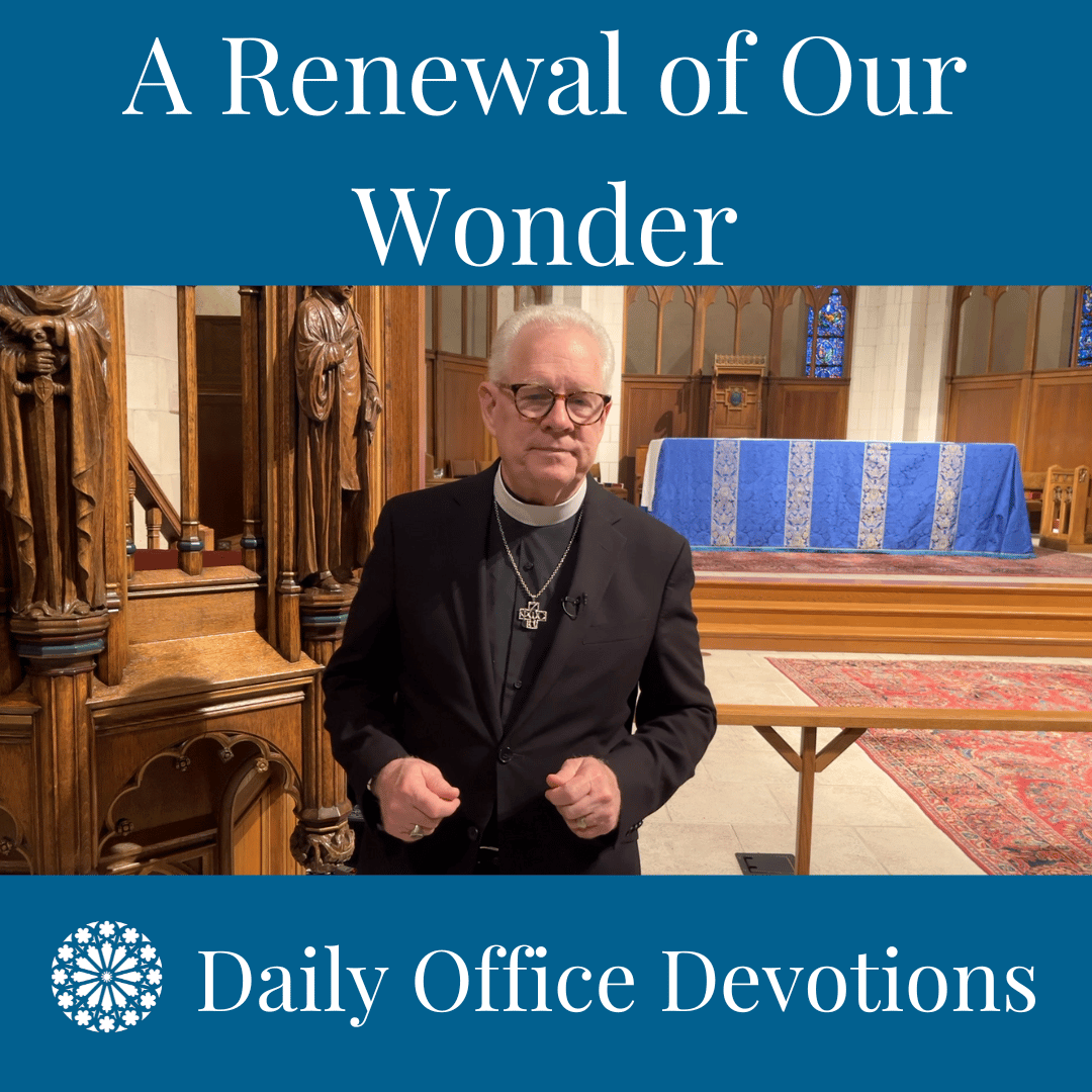 A Renewal of Our Wonder