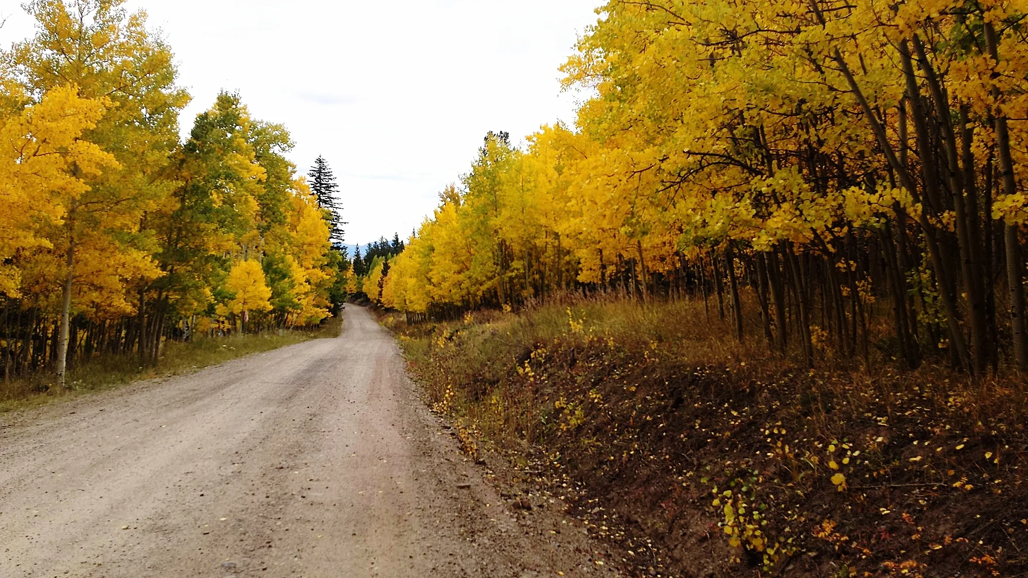 MDD Pics for Park County Water Rights.jpg