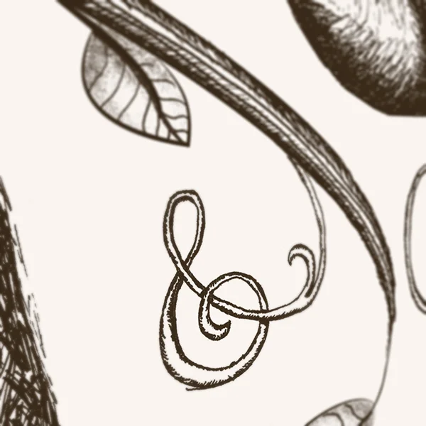 Autumn OFeery PaperJam6.jpg