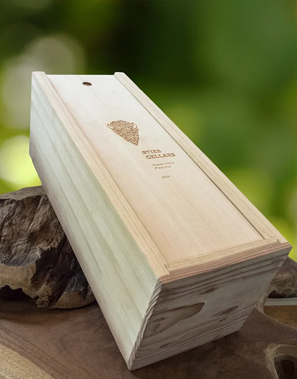 Paige Speights Stieb 1.jpg