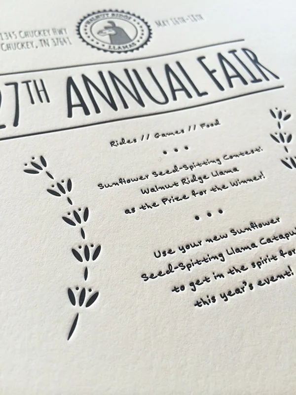 Paige Speights llama 1.jpg