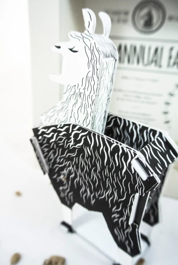 Paige Speights llama 5.jpg