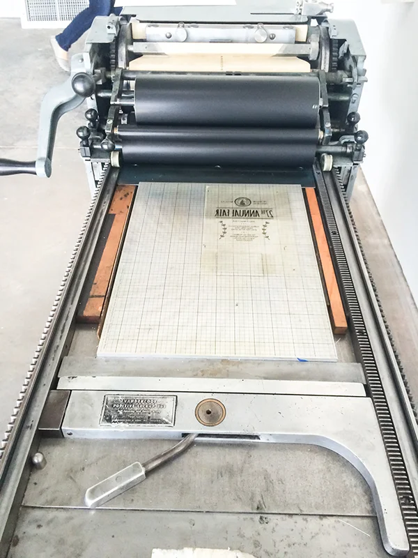 Paige Speights llama 9.jpg