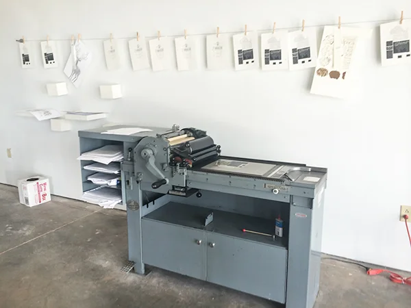 Paige Speights llama 10.jpg