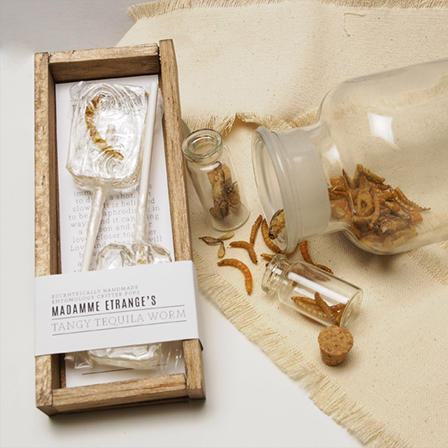 KatieChronister_12 sq.jpg