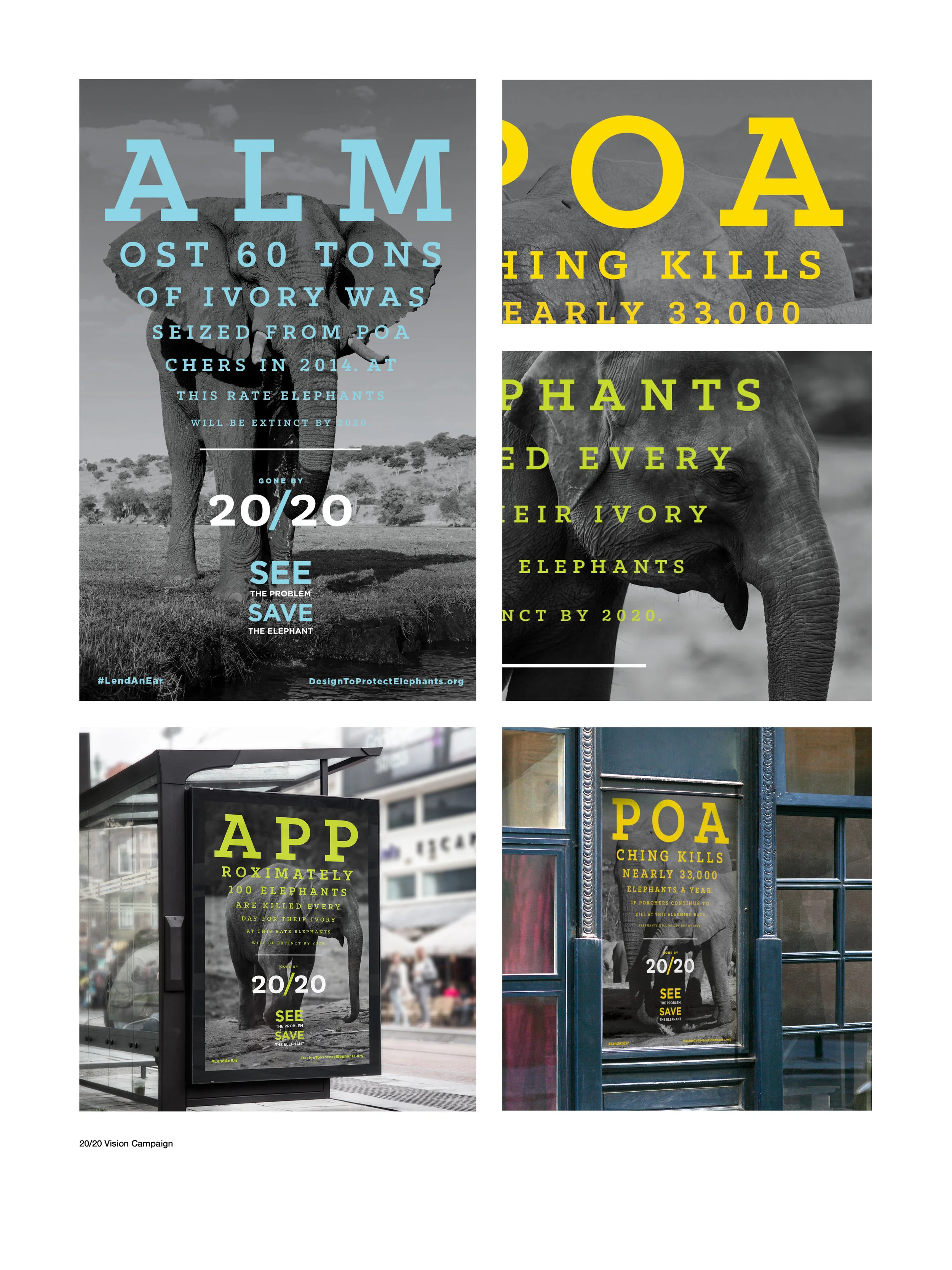 Elephants Board 1.jpg