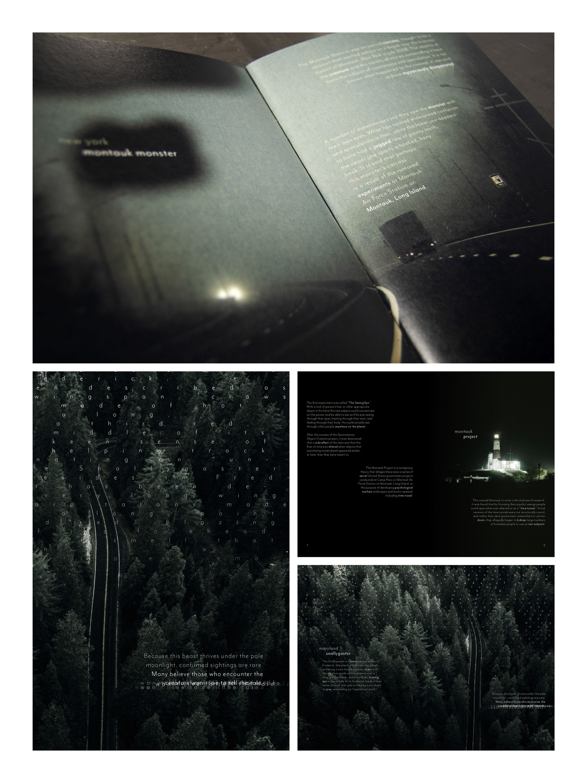 Addy Boards_Page_02.jpg