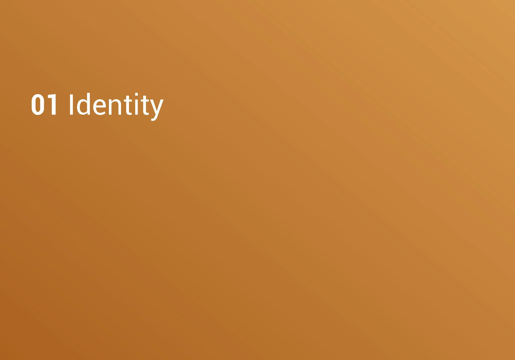 Adam Coe_OSBI_styleguide 4_Page_03.jpg