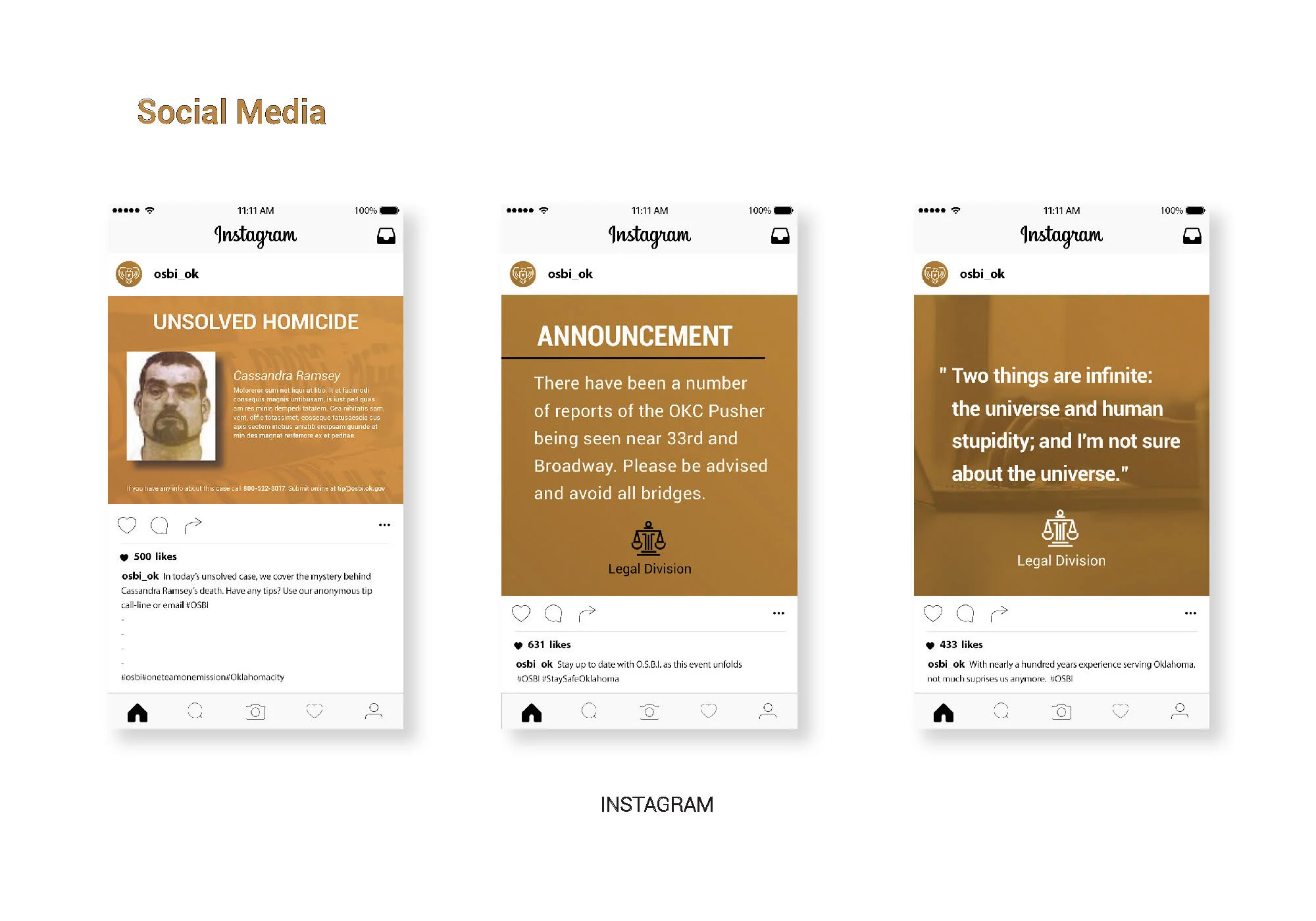 Adam Coe_OSBI_styleguide 4_Page_16.jpg