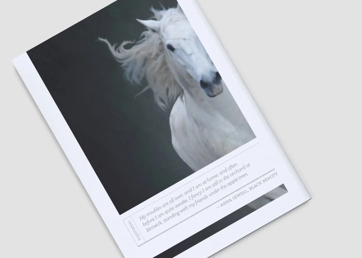 Sappi-back-cover.jpg