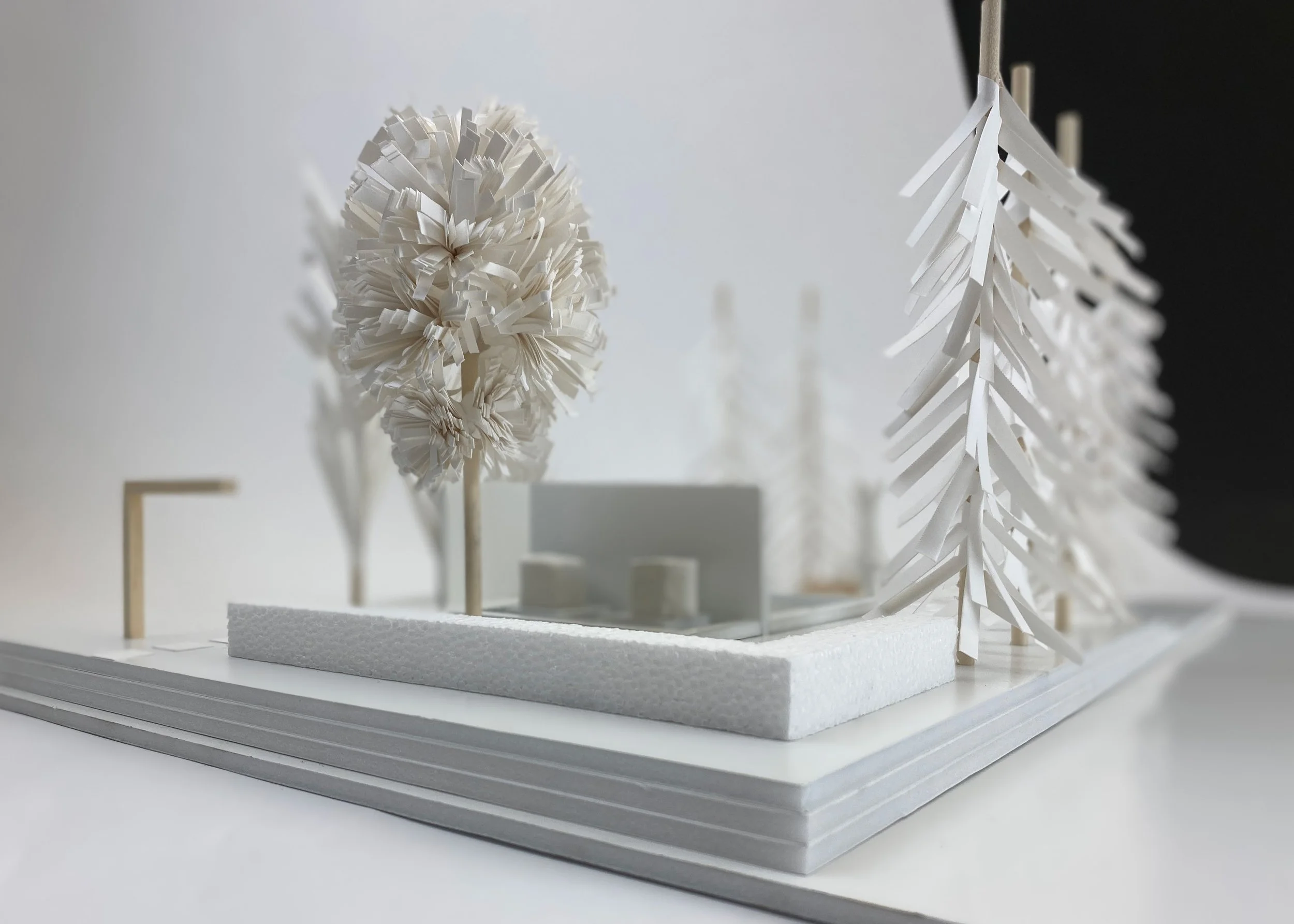 Walters Model_Image 5.jpg