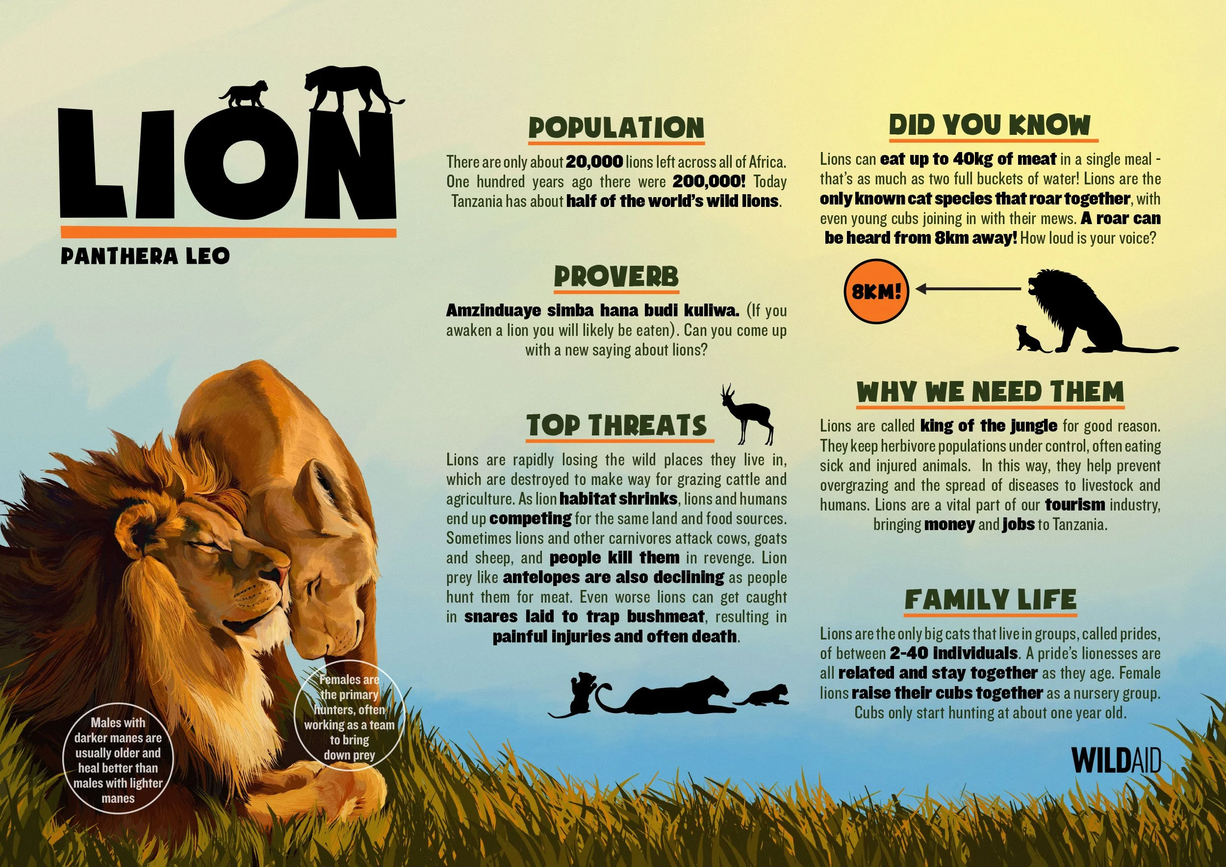 WildAidTanzaniaLionPosterEnglishA2-5.jpg